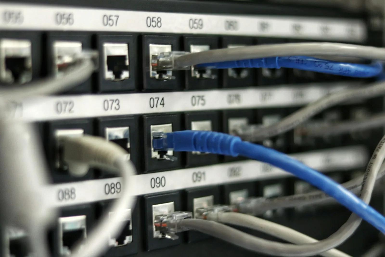 Blue ethernet cables plugged into a network switch