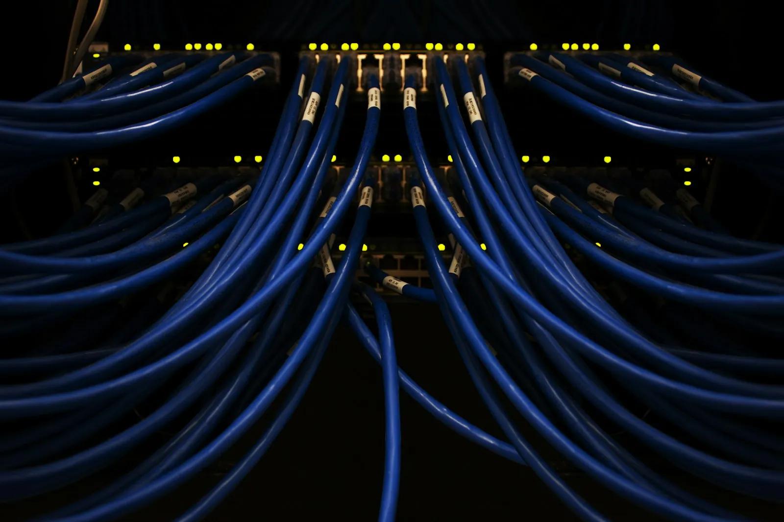 A bundle of blue network wires connected to each other