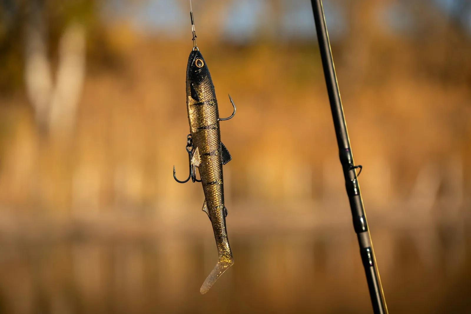 A fishing lure hanging from a rod