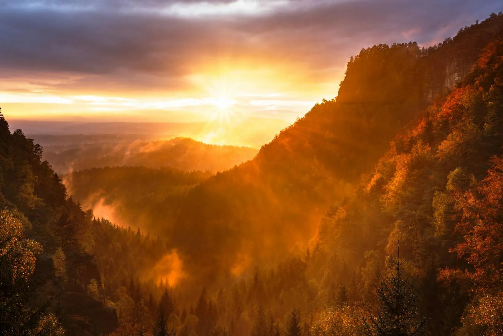 Mountain ranges and trees at golden hour